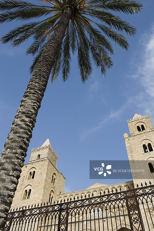意大利西西里岛切法卢大教堂广场的棕榈树图片素材