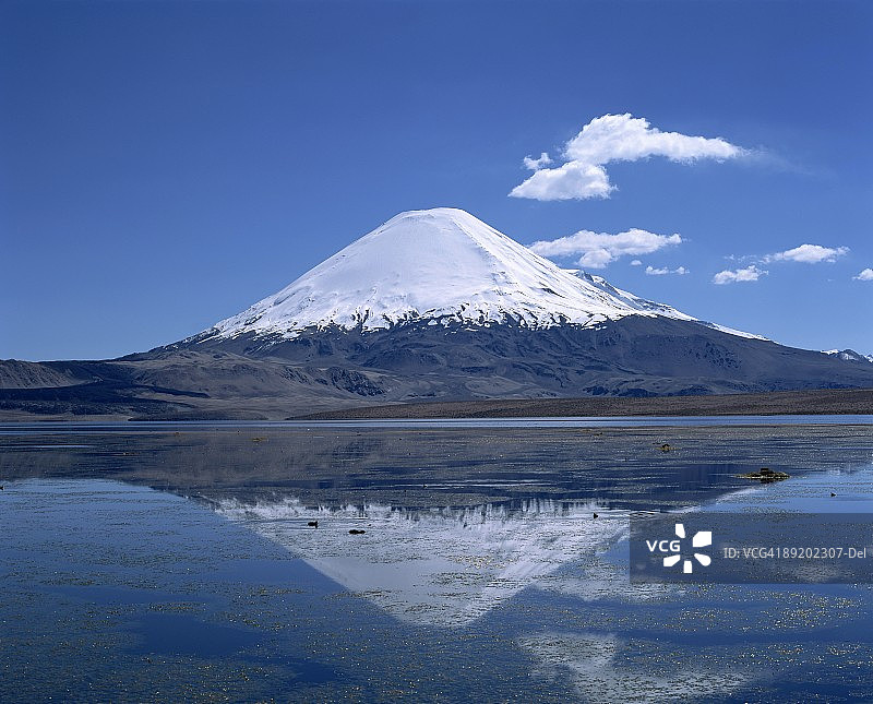 智利劳卡国家公园帕里纳科塔火山与琼加拉湖图片素材