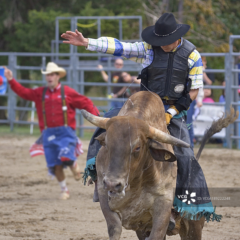 骑在公牛头上的牛仔竞技牛仔图片素材