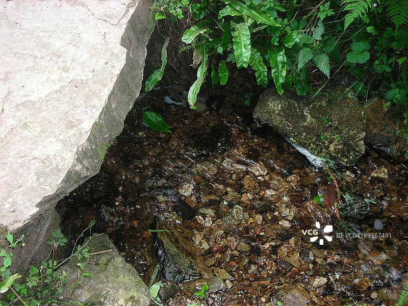 溪流岩石和植物图片素材