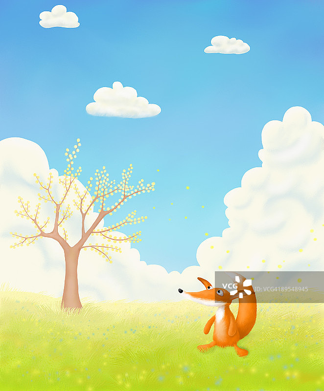 春天的狐狸图片素材