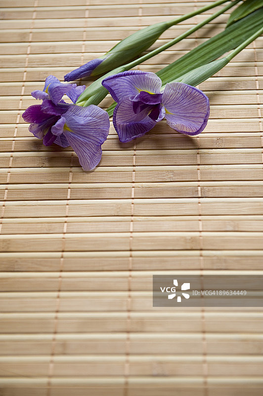 虹膜图片素材