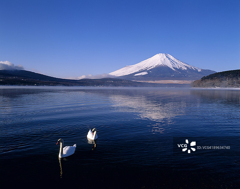 富士山与湖泊图片素材