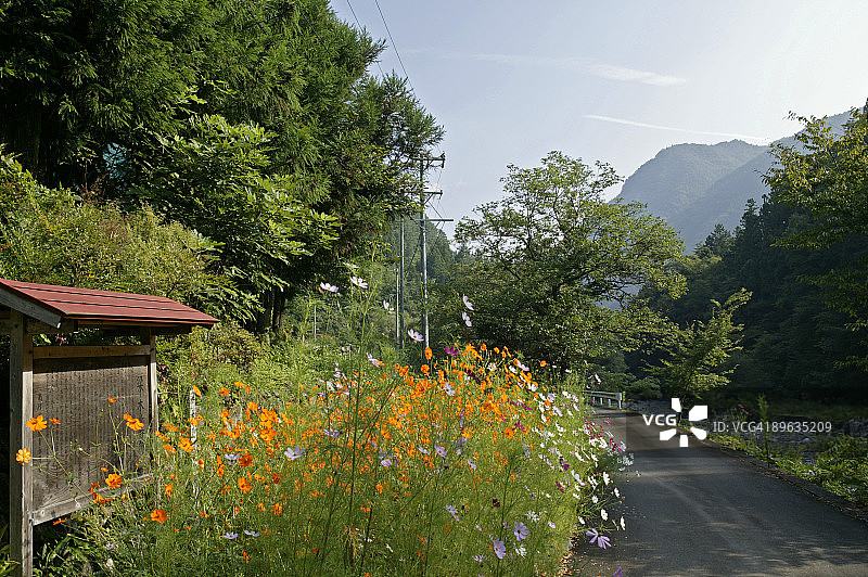 乡村公路图片素材