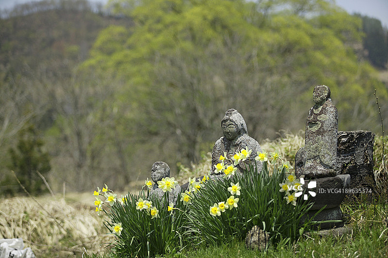 水仙花与地藏菩萨石像图片素材