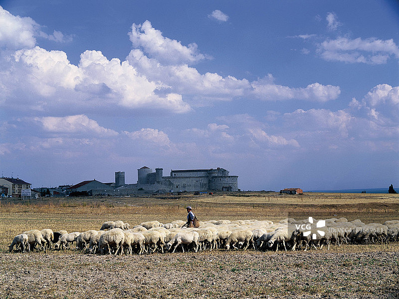 牧羊人与羊群，后方是西班牙塞哥维亚的昆利亚尔城堡图片素材