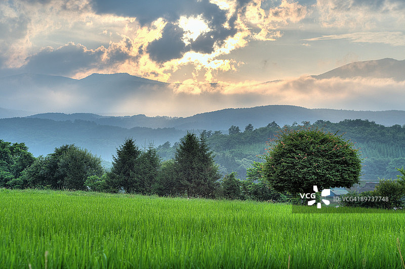 八幡平的连绵群山图片素材