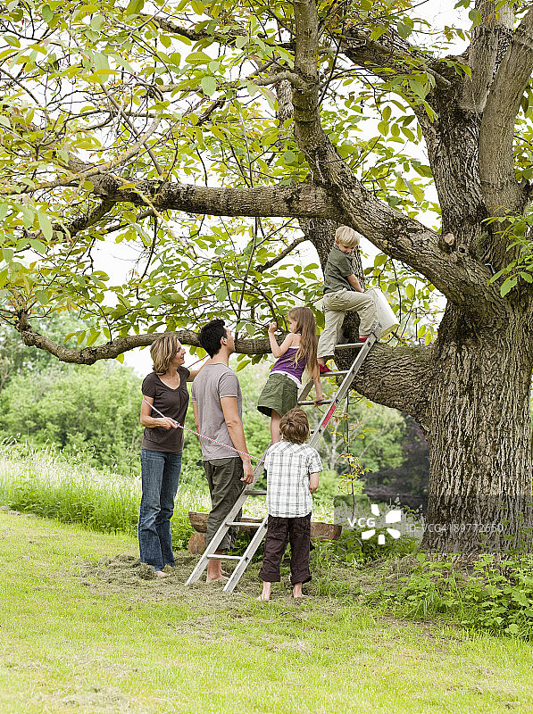 父母和孩子一起爬树图片素材