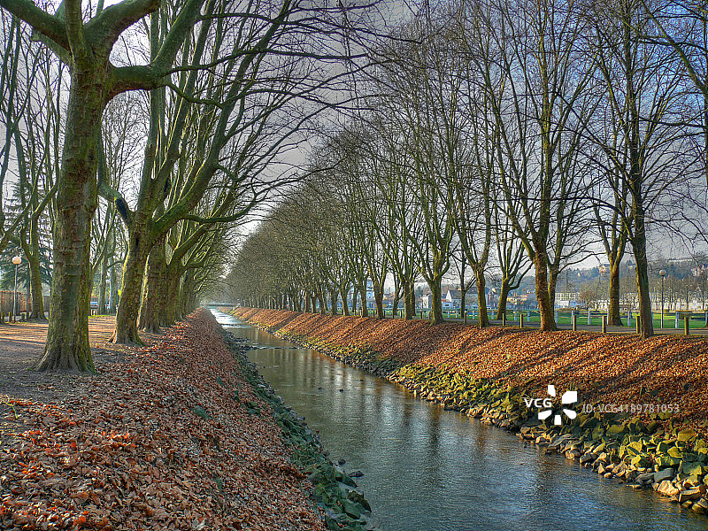 茨魏布吕肯运河沿岸的树木图片素材