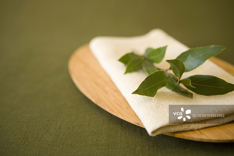 月桂叶图片素材