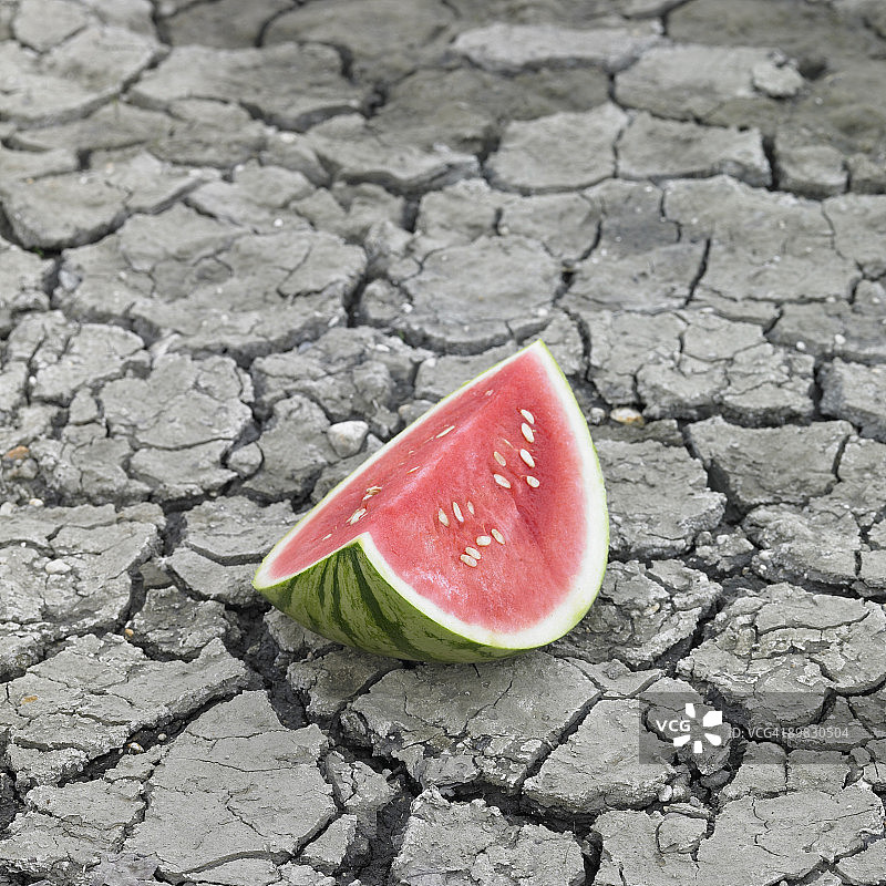 裂纹泥土上的西瓜片图片素材