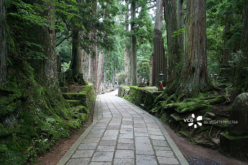 日本高野山墓地图片素材