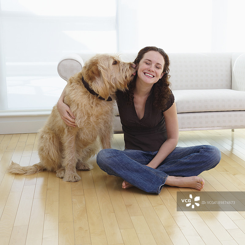 拉布拉多贵宾犬舔舐女人的脸颊图片素材