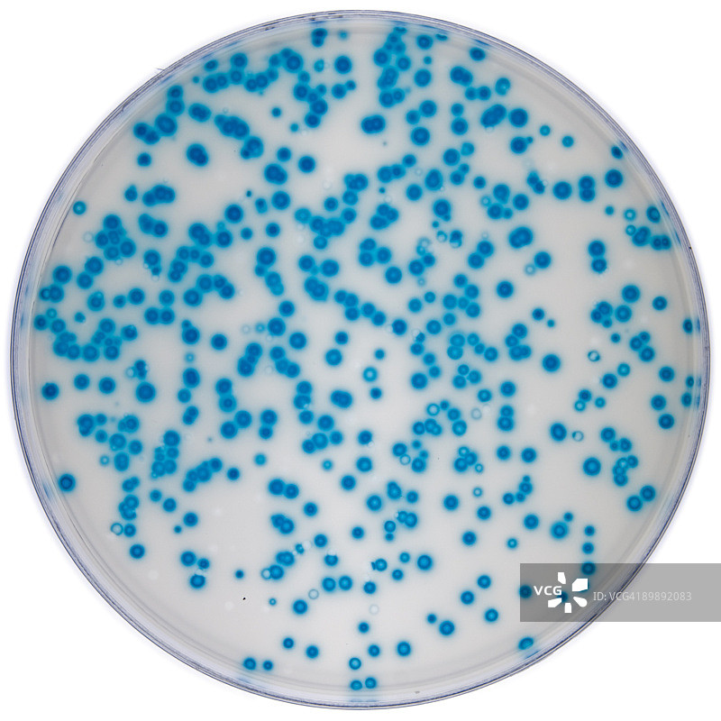 DNA聚合酶错误率测定图片素材