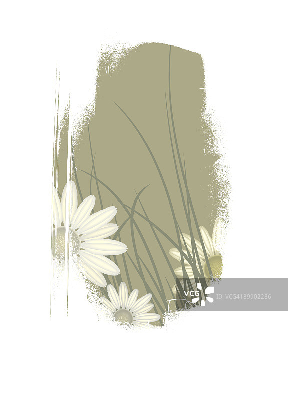 旧明信片图片素材