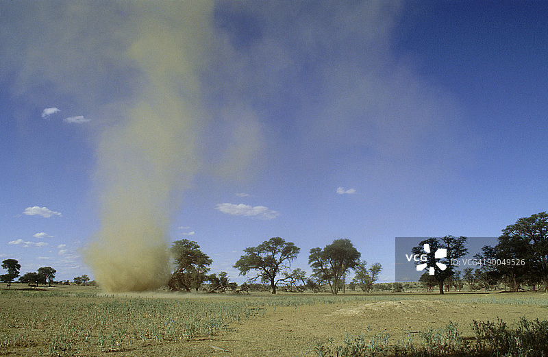 卡拉哈里宝石羚羊国家公园干燥河床中的尘卷风，南非图片素材
