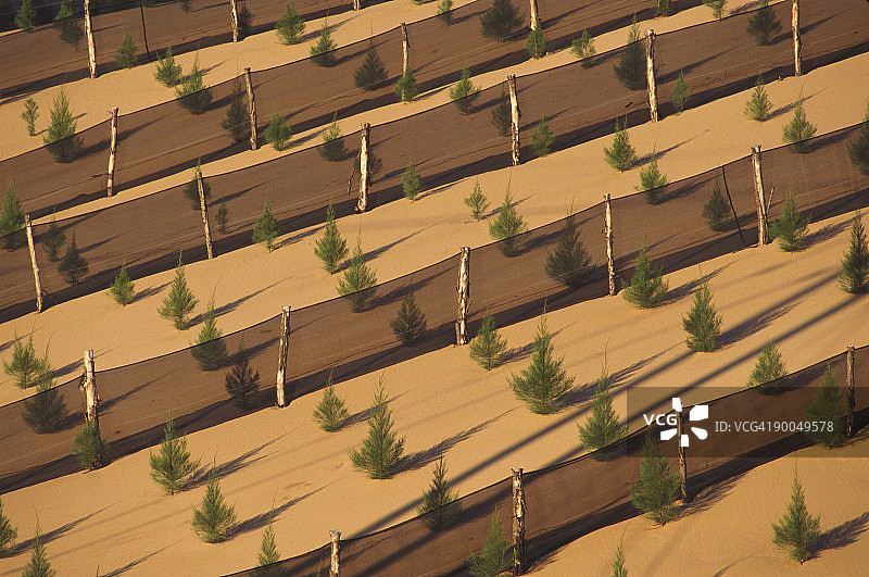 沿海沙丘修复计划图片素材