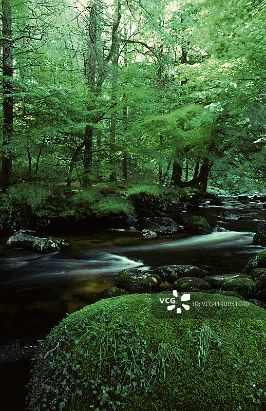 达特河：英国达特穆尔图片素材