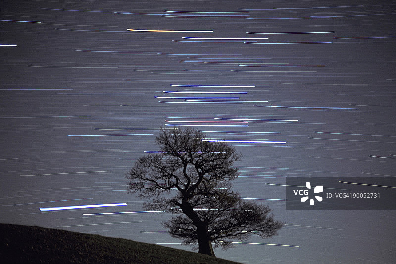 在45分钟曝光时间内，猎户星座移动经过孤独的橡树图片素材