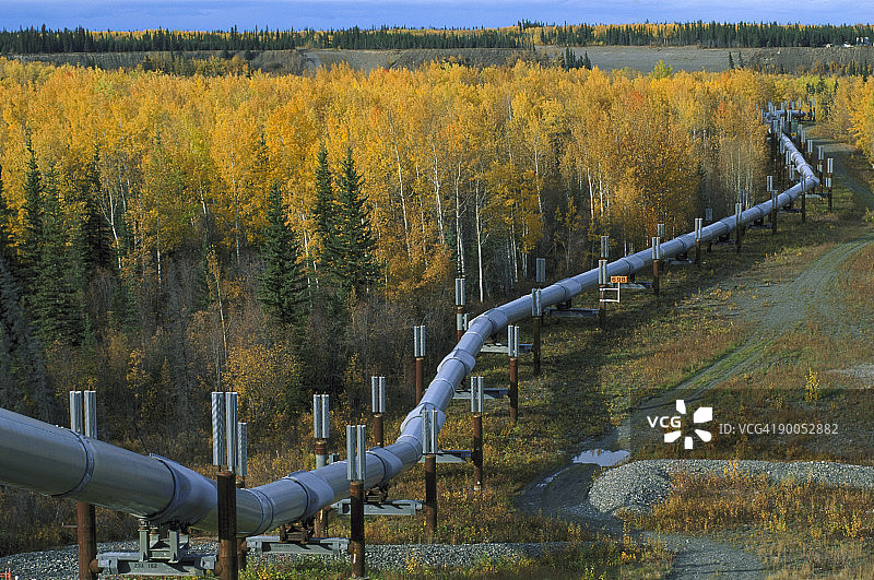 穿过理查森公路旁森林的跨阿拉斯加油气管道图片素材