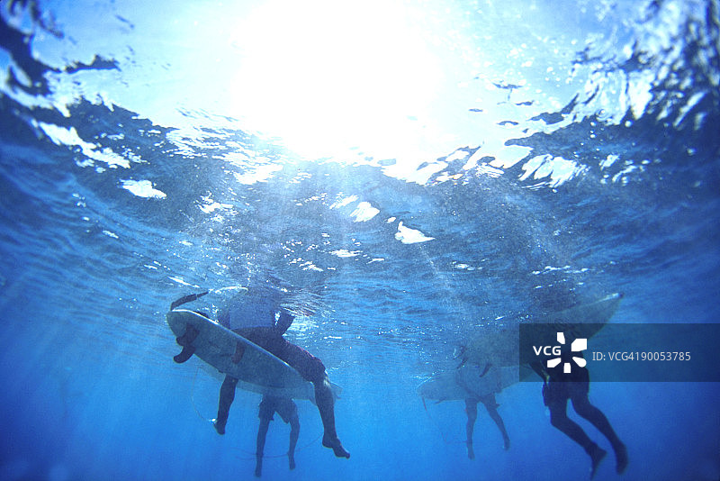 冲浪者眼中的鲨鱼图片素材