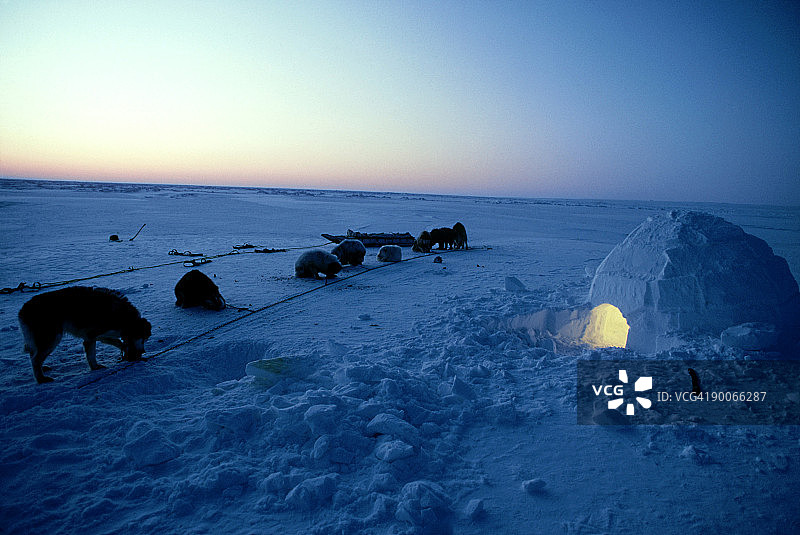狗狗和冰屋，夜间，加拿大努纳武特地区霍尔曼图片素材