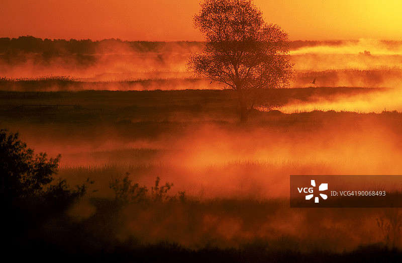 日出与雾图片素材