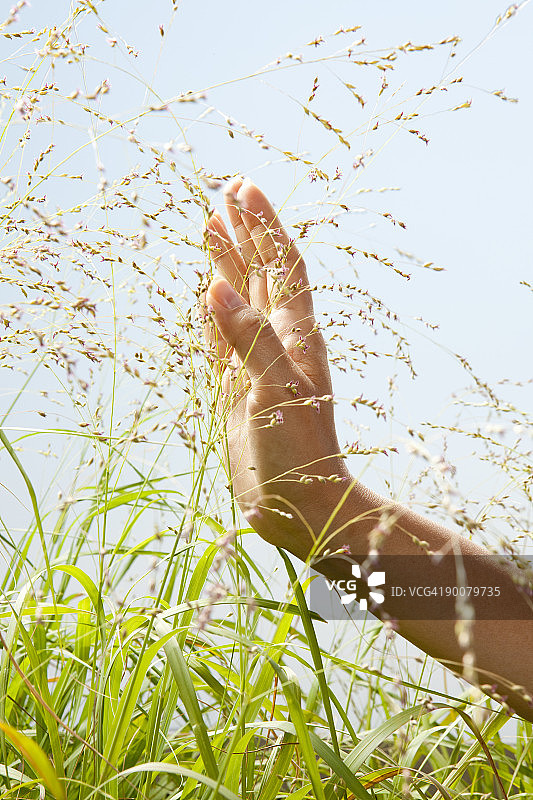女人触摸草地图片素材