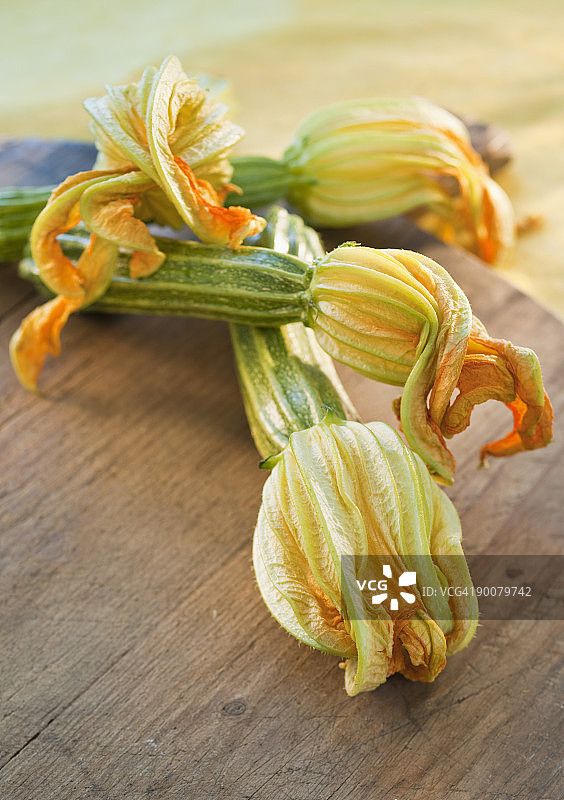 西葫芦花图片素材