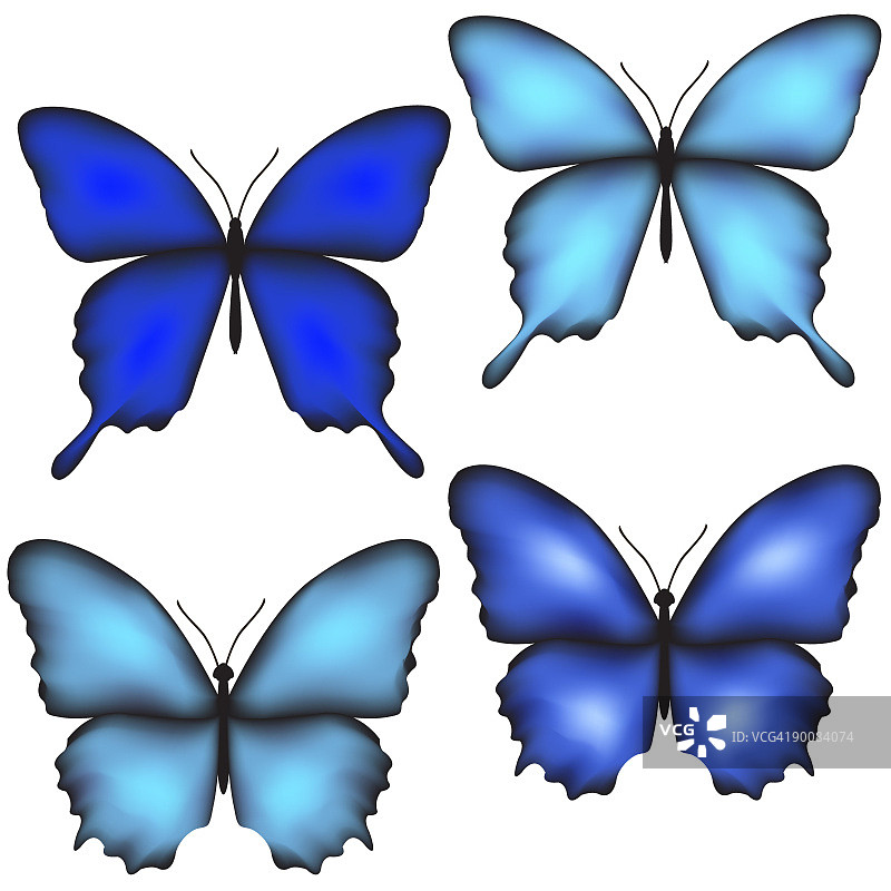 蓝色蝴蝶图片素材