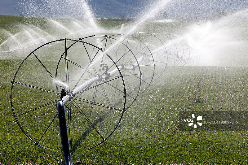 浇灌土地图片素材