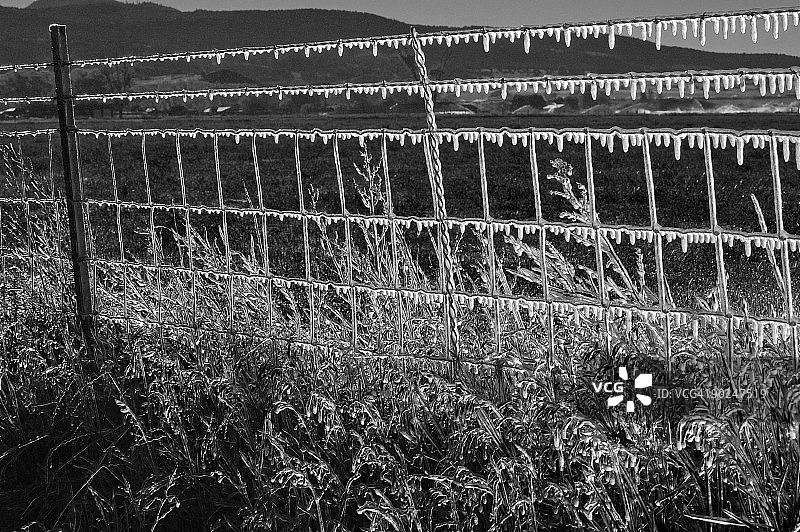 冰冷的栅栏图片素材