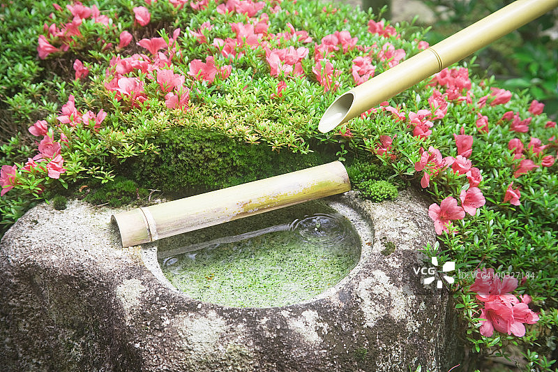 杜鹃花与水盆图片素材