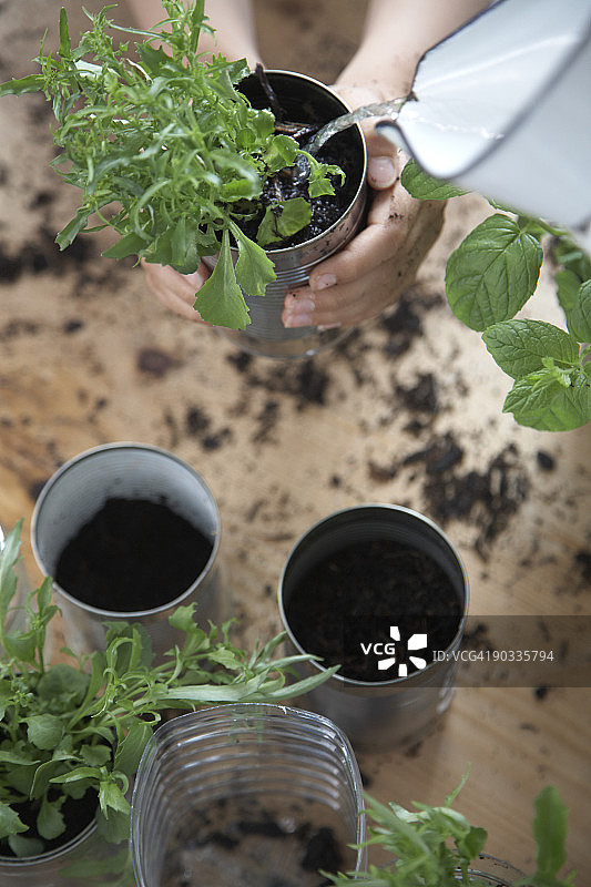 回收花盆栽种绿植图片素材