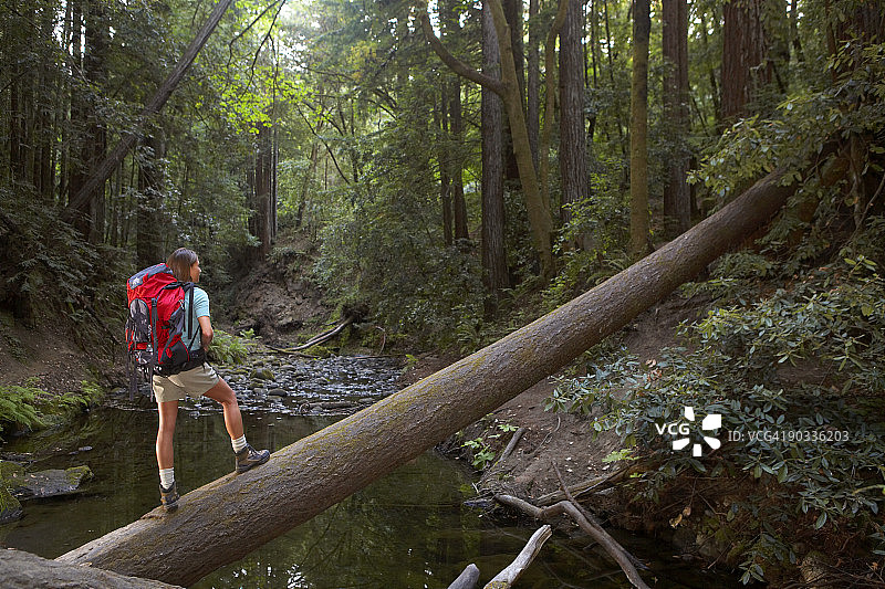 背着登山包穿越倒下树木的女人图片素材