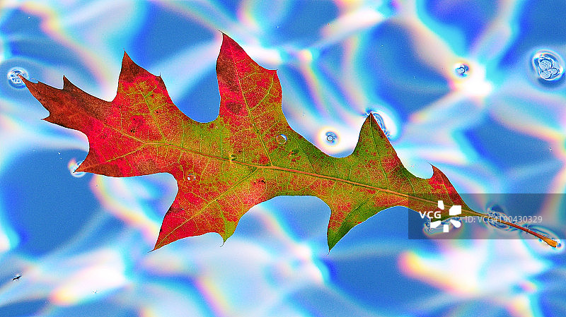 彩色漂浮图片素材