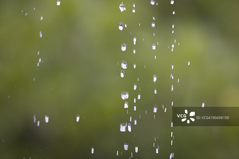 热带雨林中的水滴图片素材