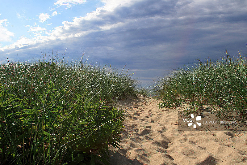 通往高草地的海滩小路图片素材