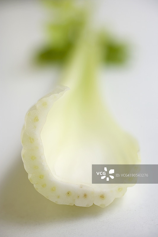 茴香球茎切片特写图片素材