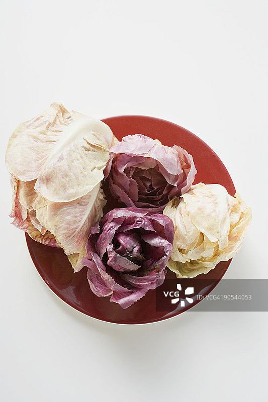 红盘子上不同类型的菊苣俯视图图片素材