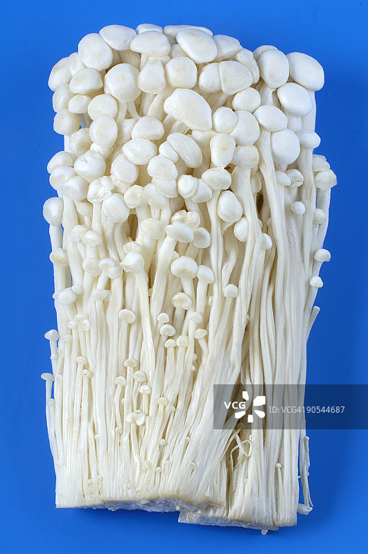 金针菇特写图片素材