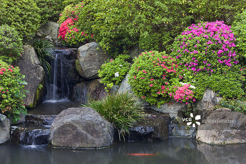 东京根津神社的花园瀑布图片素材