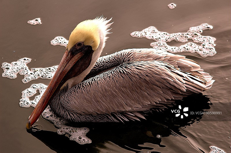 泡泡浴图片素材