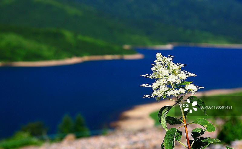野尻湖图片素材