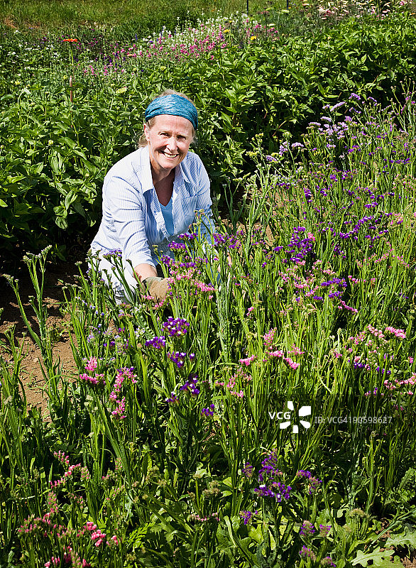 女人在有机农场照料鲜切花花园图片素材