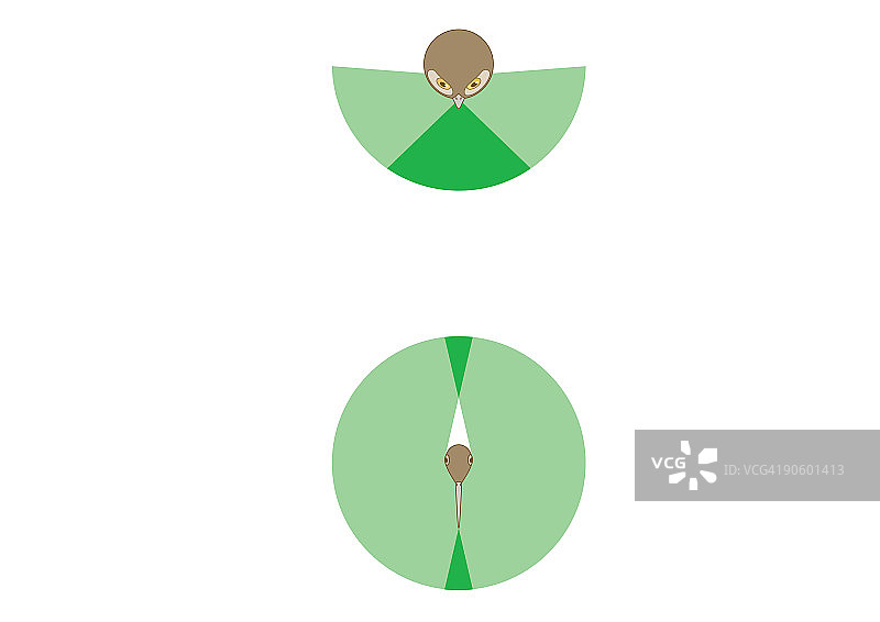数字插画：猫头鹰与普通鸟类的视野对比图片素材