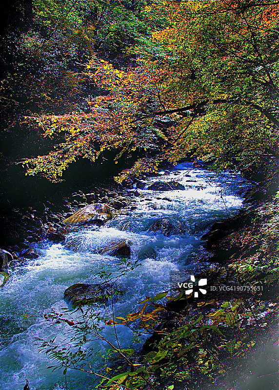 山涧秋色图片素材