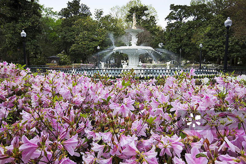 福赛斯公园的喷泉图片素材