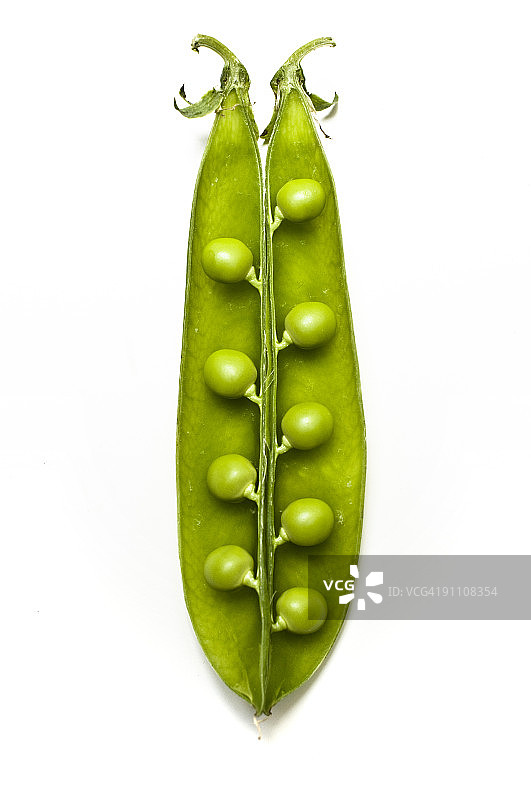 豌豆荚图片素材
