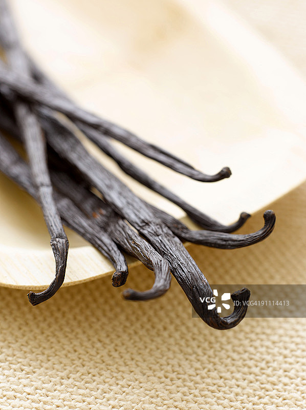 香草豆图片素材